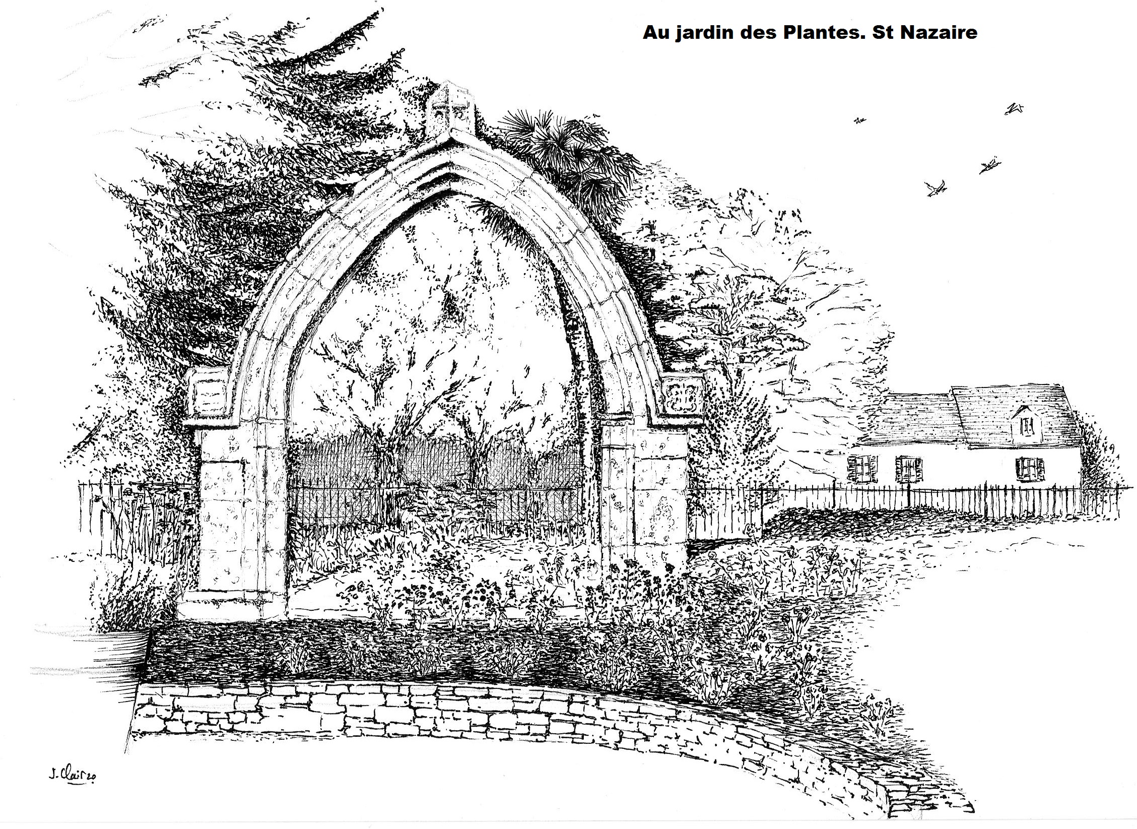 Au jardin des plantes